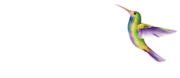 Timea Fashion